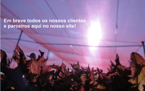 Parceiros e Clientes