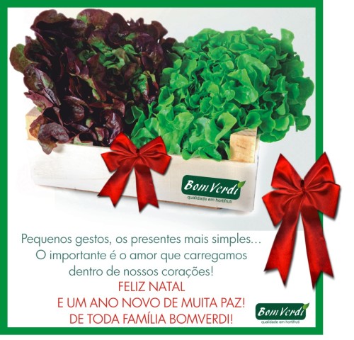 CARTÃO DE NATAL BOM VERDI 2016